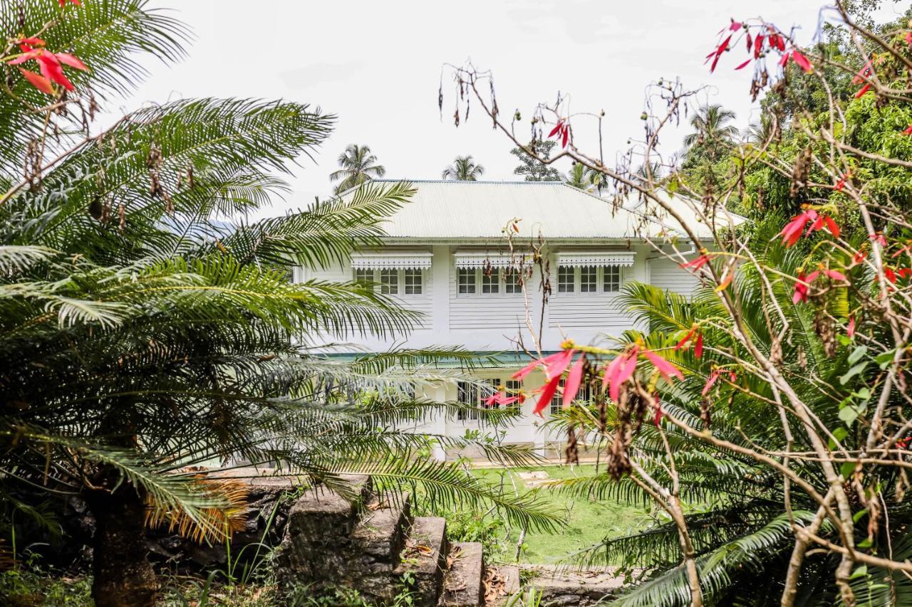 The Flame Tree Estate & Hotel كاندي المظهر الخارجي الصورة